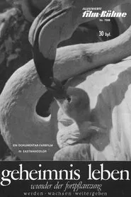 Geheimnis Leben - Wunder der Fortpflanzung movie poster