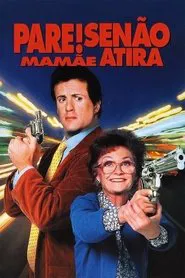 Poster do filme Pare! Senão Mamãe Atira