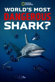 World's Most Dangerous Shark? movie poster