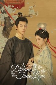 A Dream Like the True Love tv show poster