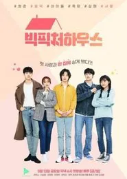 Big Picture House tv show poster