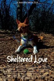 Sheltered Love movie poster