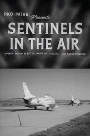 Sentinels in the Air movie poster