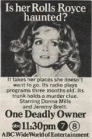 Poster do filme One Deadly Owner
