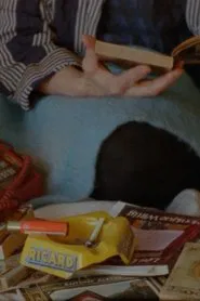 Poster do filme Exterior Turbulence