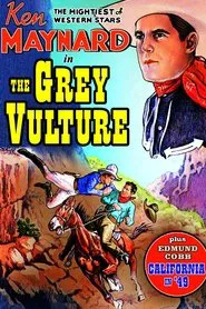 The Grey Vulture movie poster