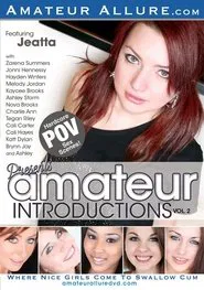 Amateur Introductions 2 movie poster
