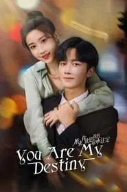 You Are My Destiny tv show poster
