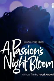 A Passion's Night Bloom movie poster