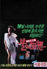 Reminiscent Flame movie poster