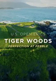 U.S. Open Epics: Tiger Woods: Perfection at Pebble Beach movie poster