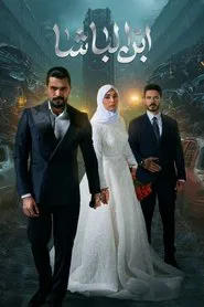 Son of the master tv show poster