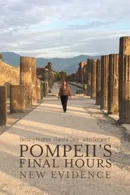 Pompeii's Final Hours: New Evidence tv show poster