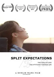 Split Expectations movie poster