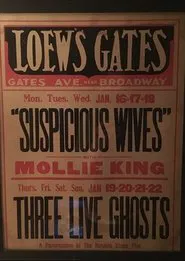 Poster do filme Suspicious Wives
