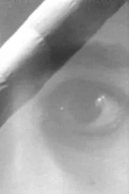 Poster do filme Beaufort