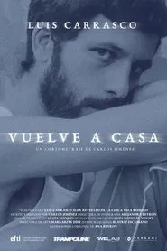Vuelve a casa movie poster