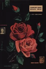 Poster do filme The Real End of the Great War