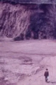 Metonic Cycles movie poster