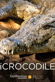 iCrocodile movie poster