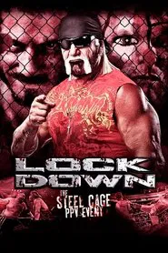 TNA Lockdown 2013 movie poster