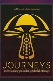 Journeys movie poster