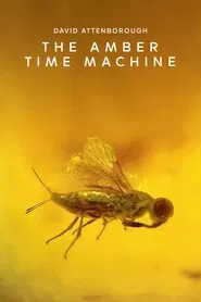 The Amber Time Machine movie poster