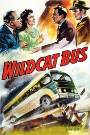 Poster do filme Wildcat Bus