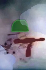 Homomania movie poster