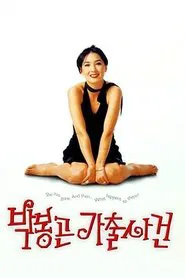 Poster do filme The Adventures of Mrs. Park