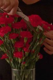 Flowers Blooming In Our Throats movie poster