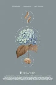 Poster do filme Hydrangea