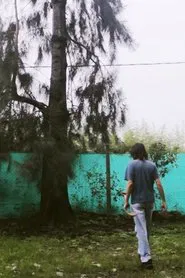 Un Gato Desapareció movie poster