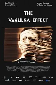 The Vasulka Effect movie poster