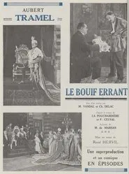 Poster do filme Le Bouif errant