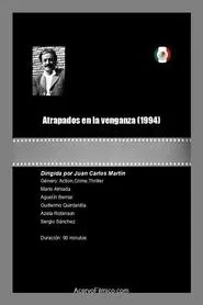 Atrapados en la venganza movie poster