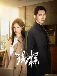试探 tv show poster