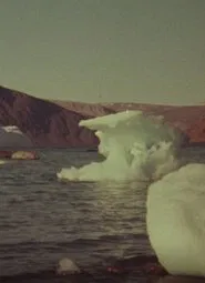 Jenny's Arctic Diary movie poster