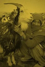 Qurut movie poster