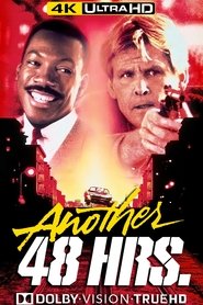 Another 48 Hrs. movie poster