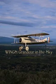 Wings: Grandeur in the Sky movie poster