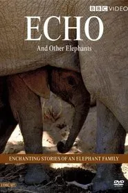 Echo and Other Elephants tv show poster