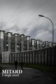 Deaths in Solitary Confinement: The Prison System's Blind Spot movie poster