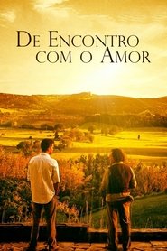Poster do filme De Encontro com o Amor