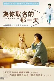 Poster do filme Dogs Without Names
