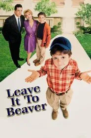 Poster do filme Foi sem Querer