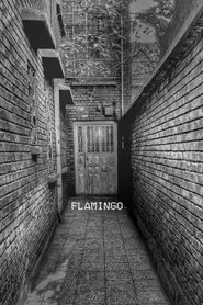 Poster do filme Flamingo