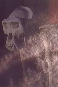 Esprits de Sel movie poster