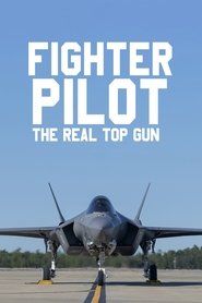 Fighter Pilot: The Real Top Gun tv show poster