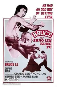 Poster do filme Bruce and Shaolin Kung Fu